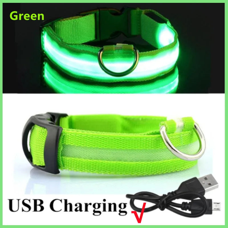 LED Glowing Dog Collar – Adjustable, Rechargeable, Flashing Light for Night Safety & Anti-Lost Protection