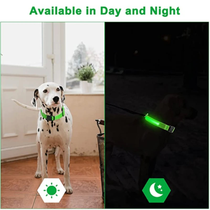 LED Glowing Dog Collar – Adjustable, Rechargeable, Flashing Light for Night Safety & Anti-Lost Protection