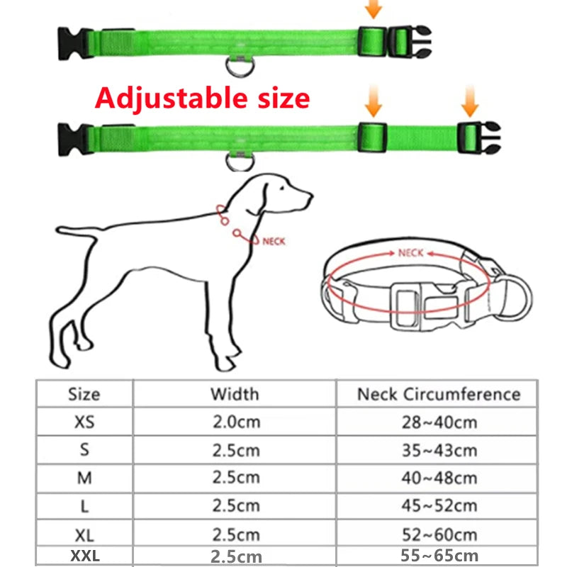 LED Glowing Dog Collar – Adjustable, Rechargeable, Flashing Light for Night Safety & Anti-Lost Protection