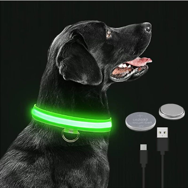 LED Glowing Dog Collar – Adjustable, Rechargeable, Flashing Light for Night Safety & Anti-Lost Protection