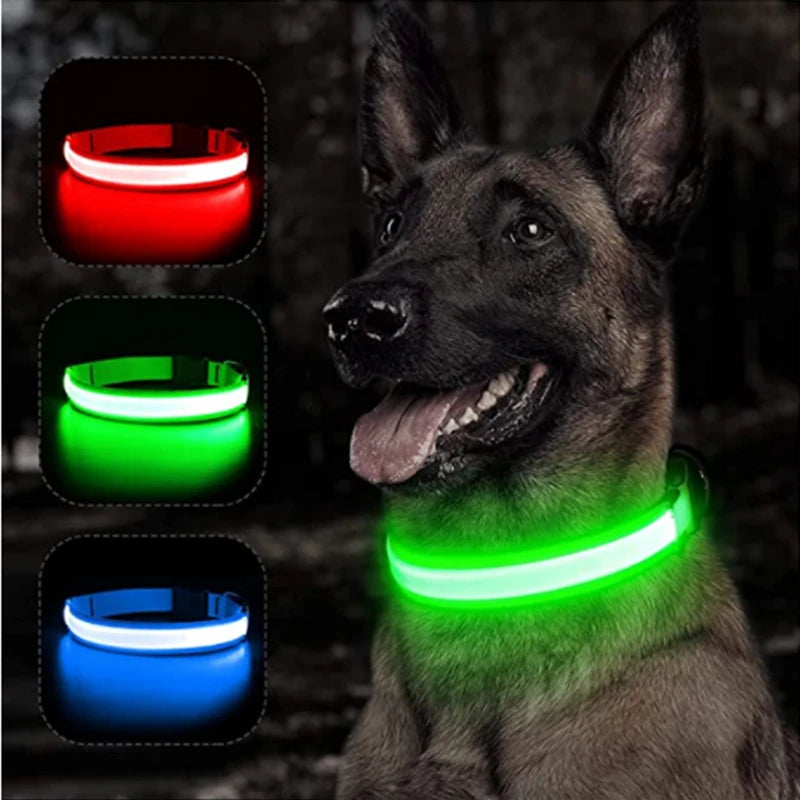 LED Glowing Dog Collar – Adjustable, Rechargeable, Flashing Light for Night Safety & Anti-Lost Protection